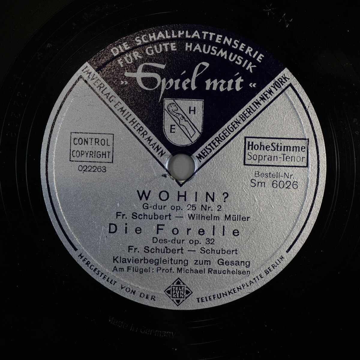 Wohin? - Die Forelle