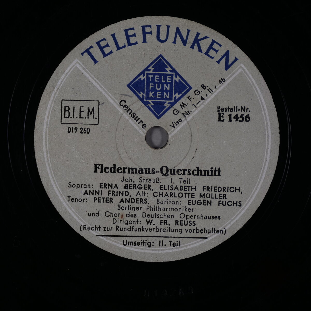 Fledermaus-Querschnitt - 1. Teil