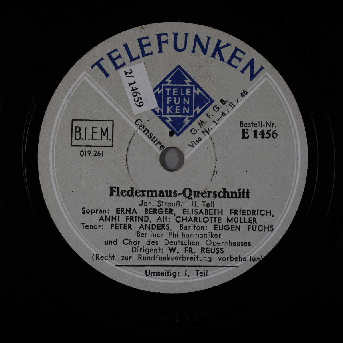 Fledermaus-Querschnitt - 2. Teil